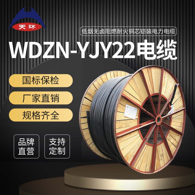 天环电缆 WDZN-YJY23铠装 2芯低烟无卤阻燃耐火电缆 国标纯铜电线
