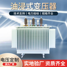 S11-250KVA三相10KV高压油浸式电力变压器315KW400KW500KW630/800