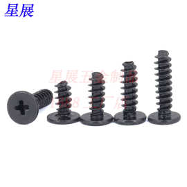 316/304不锈钢黑色CB十字槽扁平头C头大平头薄头平尾自攻小螺丝钉