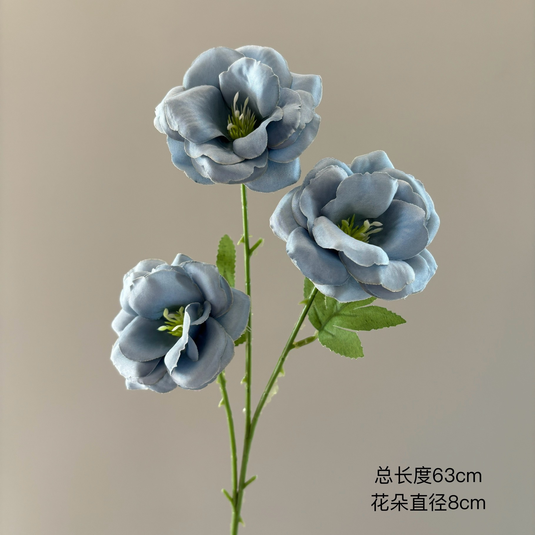 상큼한 로즈 미스트 블루 3개