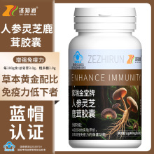 保健品蓝帽认证人参灵芝鹿茸胶囊增强免疫力营养保健品批发代发