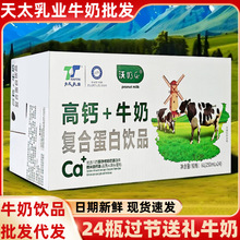 天太乳业高钙+牛奶24盒整箱核桃早餐奶过节送礼酒席饮品饮料批发