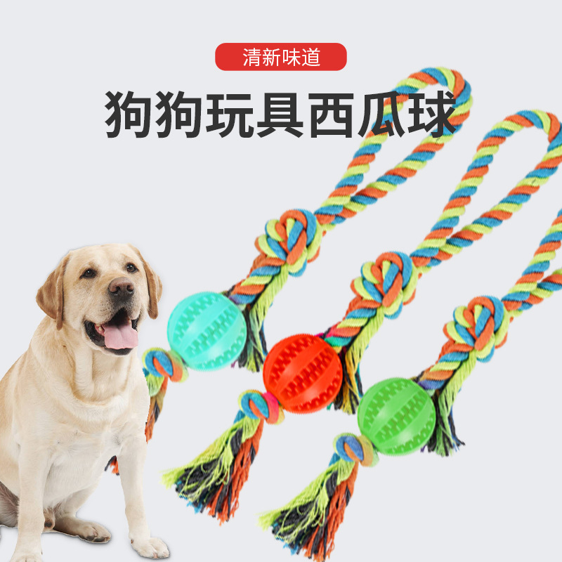Pet Toy Dog Molar Ball Golden Retriever Bite Resistant Teddy Puppy Molar Natural Rubber Belt Rope Tooth Cleansing Leakage Ball
