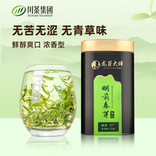 龙芽大师2026年新茶天宫春芽绿茶茶叶自己喝特级高山纯料散装绿茶