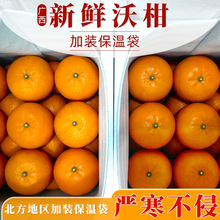 �V���ָ����r�FժƤ����֭�����坙���ϻ���@ֱ�l����ˮ��������