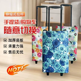 儿童读物;社科生活;四件套