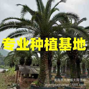 �㽭���������������l �Ĵ�������������r ���K�����������r��