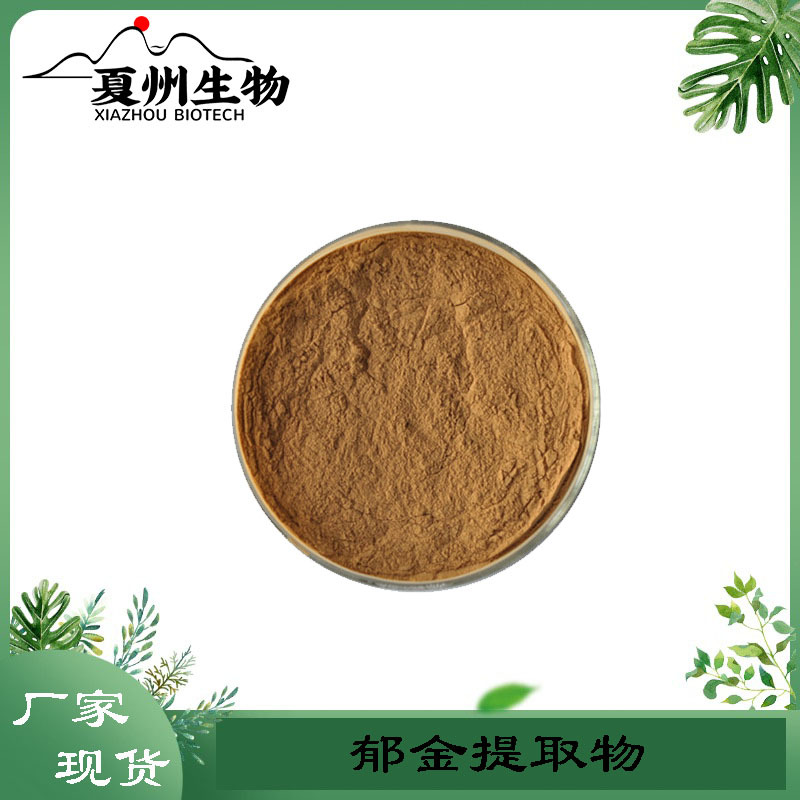 郁金提取物 10/20/30:1 郁金粉 比例川郁金/广郁金萃取 厂家现货