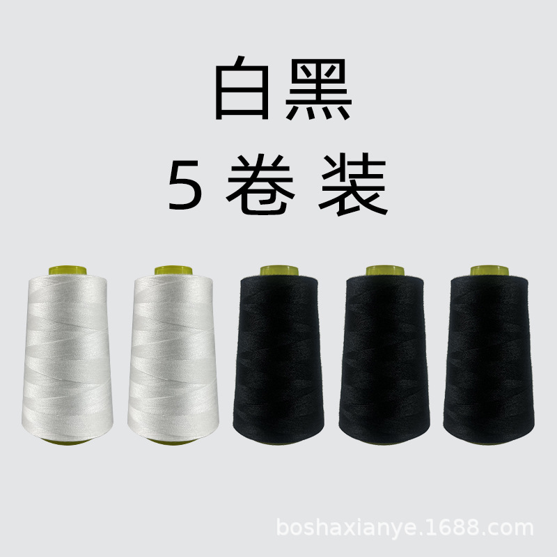 흰색과 검정색 혼합 색상 5롤 팩