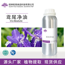 鸢尾净油芳疗植物提取单方原精化妆品香水原料源头厂家拓普香料