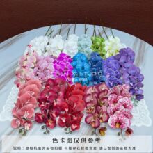 9�^3D��ӡ�����m ���滨�^�z�ָ��m����c�廨�b�����L���H�{