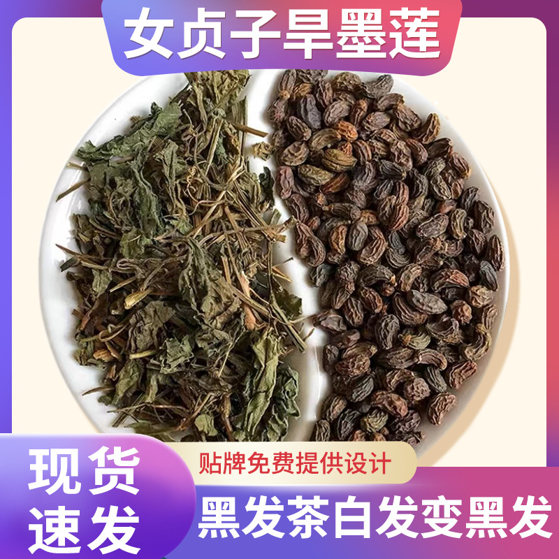 养发女贞子旱墨莲 野生中药材正品原料何首乌一件代发包邮现货