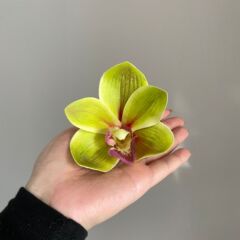 3dプリントフィルムの薔薇の花の頭の手作り結婚のお土産の喜糖箱は糊の手触りを飾って花の頭をシミュレートした