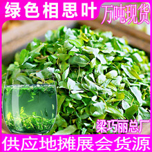 �u�ǲ��~Դ�^�S�� ɢ�b���u�ǲݲ��~�u�ǲݲ� ��˼�~��˼�ٲ����l