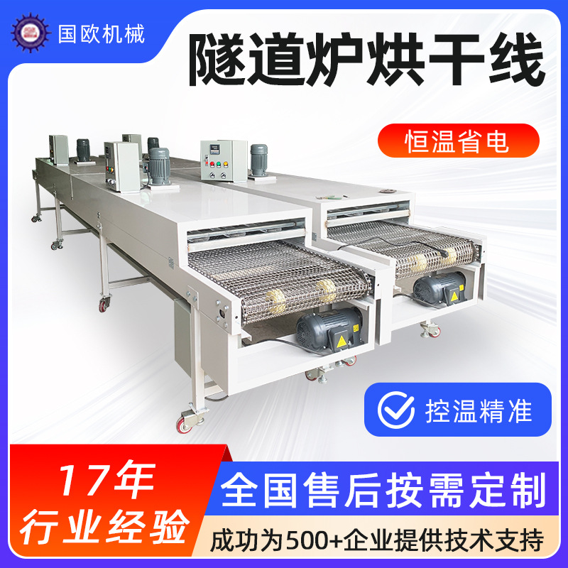隧道炉烘干线烘干炉不锈钢网带水分烘干流水线食品烘烤线烘干机