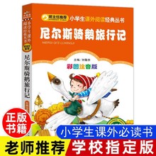 尼尔斯骑鹅旅行记 注音版 小学生 一二三年级课外阅读班主任推荐