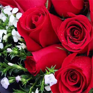 �Nޱ�N���¼����N�ӻ��N�Ѽt��õ�N���S��õ����ֲ��N�ӻ�ɫ