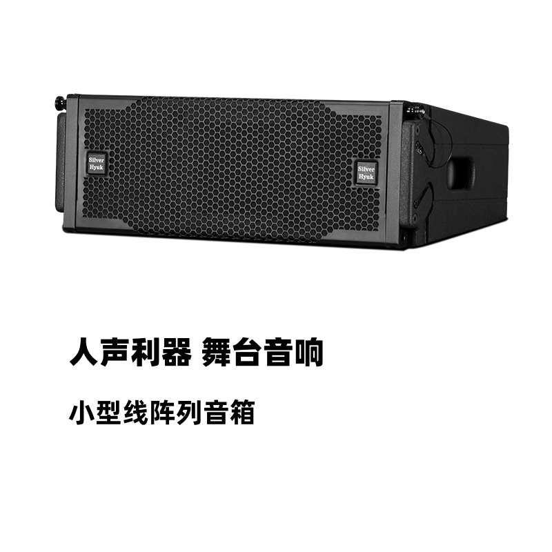 Equipo de audio de escenario Altavoz de matriz de línea pequeña dual de 6,5 pulgadas Altavoz profesional de alta gama Audio de marca