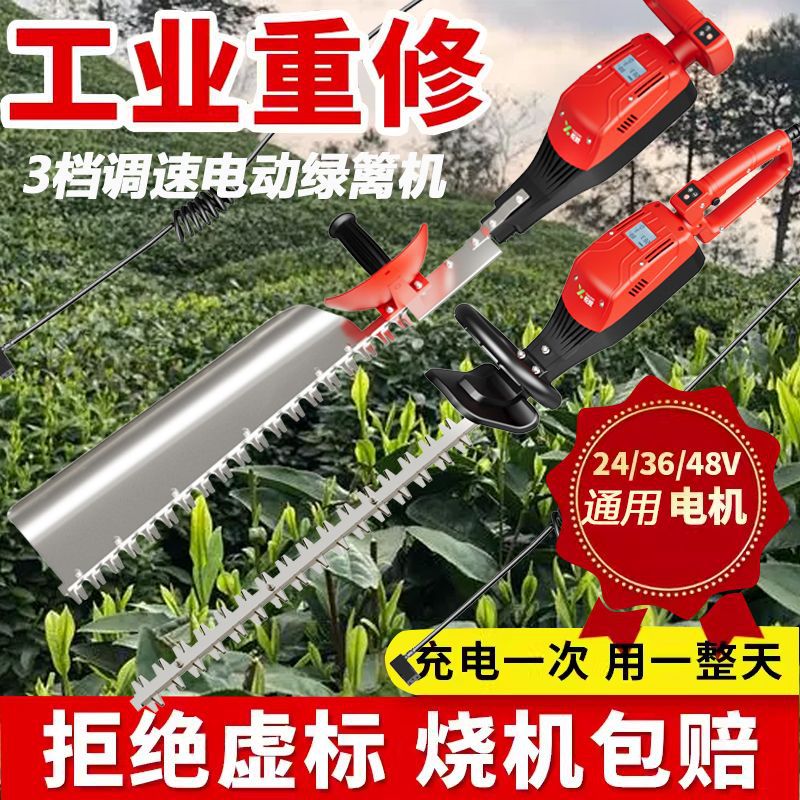 36伏48伏充电式电动重修绿篱机大功率园林茶树修剪机锂电绿化修枝