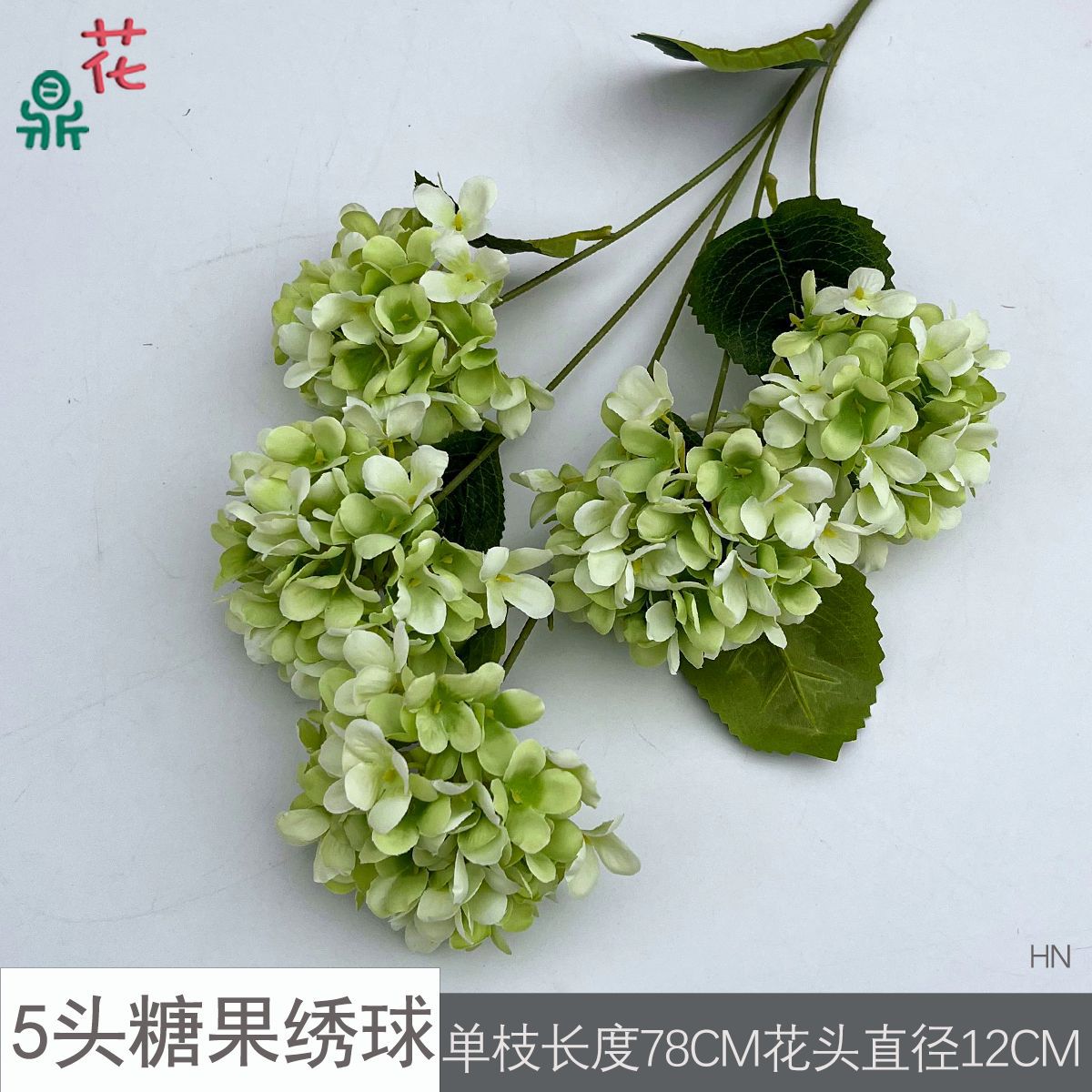 5등신 캔디 수국 HN 라이트 그린