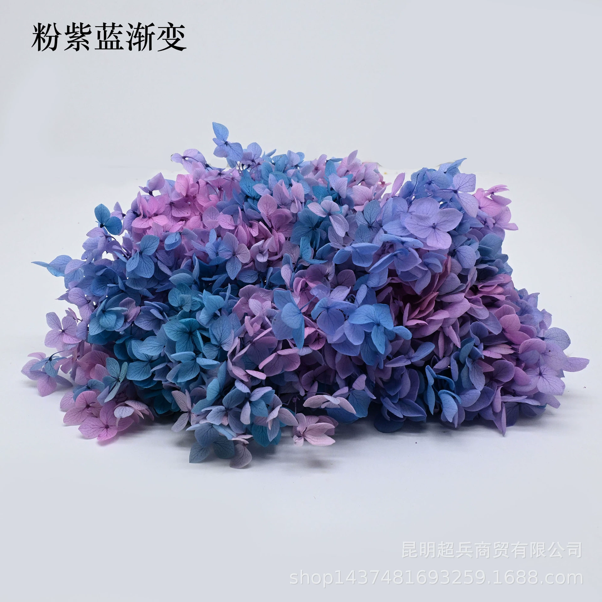 [Вечная Life Flower Hydrangea] Анна Градиентный цвет Лист Hydramid Книга цветов оптом DIY цветочная коробка материал для просмотра