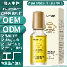 �N��DNA�{�o�µ��y�۲����A�;o�¿����������y�̝��������Ͷ���