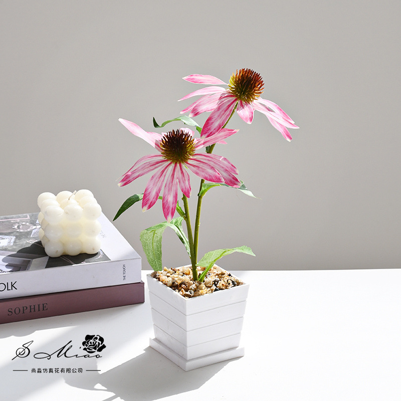 Nuevo estilo transfronterizo de dos cabezas de equinácea pequeño bonsái decoración de estudio fotográfico de hogar creativo decoración de planta verde artificial simulación en maceta image 11