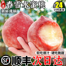 顺丰包邮春雪水蜜桃产地直发新鲜水果毛桃摘非催熟孕妇脆甜桃子