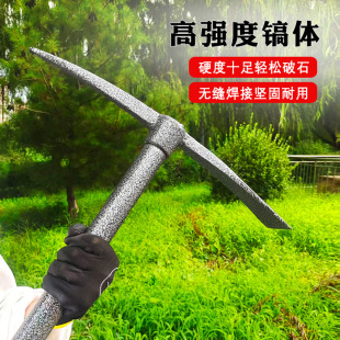 �i����ʮ�������z�^怸������ژ������ڹS������i䓼Ӻ�