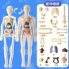 Fully transparent model (bag installation+Chinese and English manual)