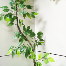 绿植榕树叶造景 阻燃藤蔓吊顶管道装饰花藤缠绕 墙面绿植垂吊