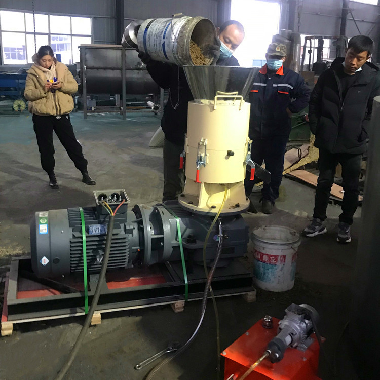 出料粒度大小可调颗粒机 平模木糠制粒机 木屑竹屑造粒设备