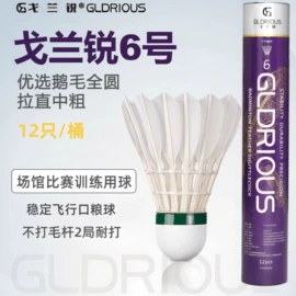 羽毛球