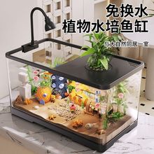 鱼缸水族箱生态桌面金懒人塑料透明阳台客厅造景缸中小型家用包邮