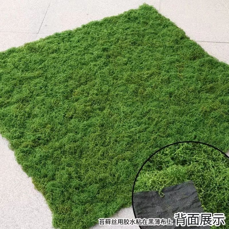 羊毛造景掉色不植物墙水陆缸假山石头仿真苔藓青苔缸藓园林雨淋|undefined