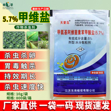 ���Íu5%�װ������S���ر������}���x�����ҹ�����x���ü׾S�}