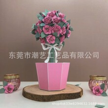 �羳�¿�|õ��[���b�Ʒ�������˹�ĸ�H��3Dõ������Ʒ