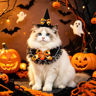 �羳�¿�؈���ˮ��ñ�ӽM���f�}����������������������Ȧ���l