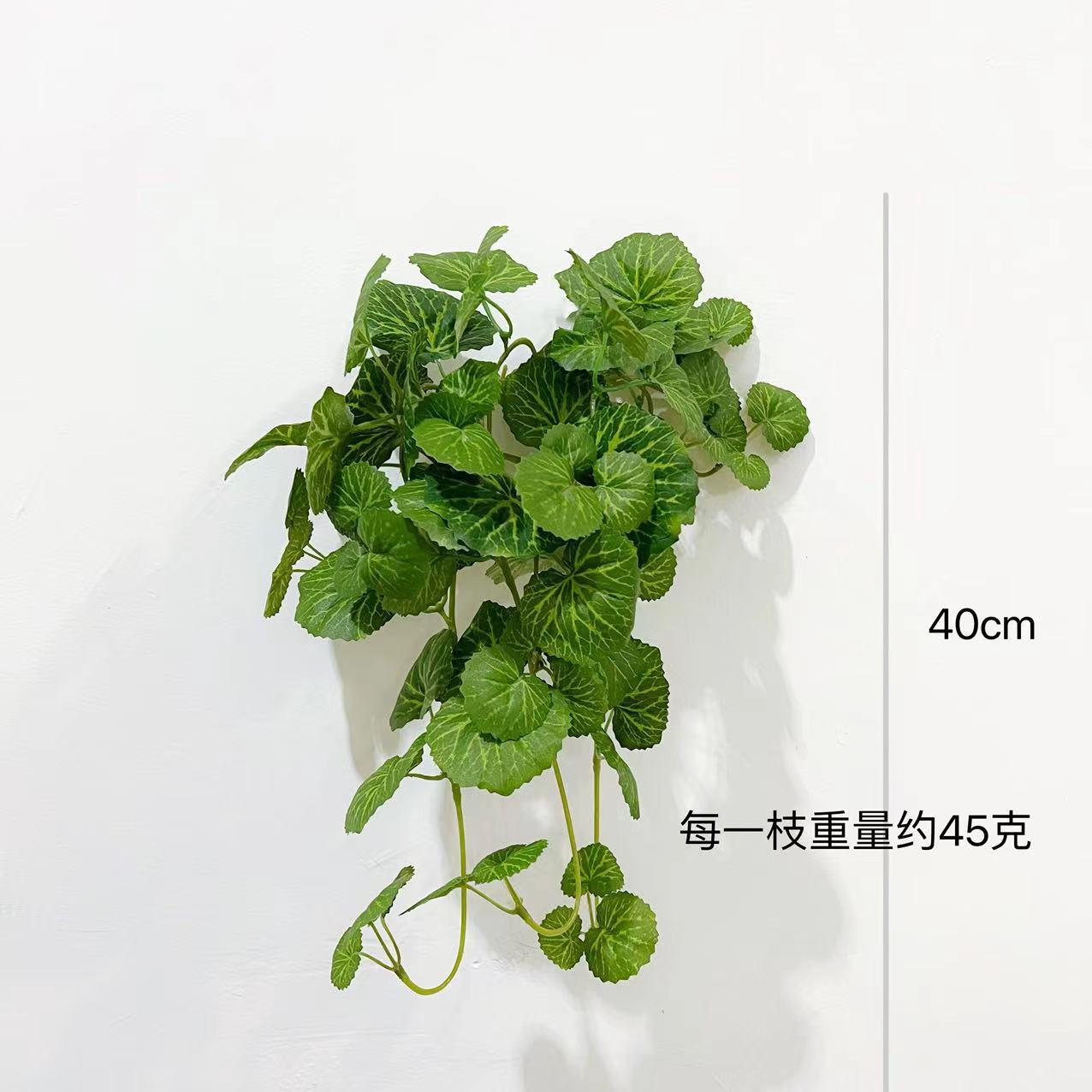 40cm 베고니아 벽 매달려 [녹색]]