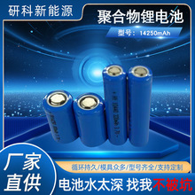 14250-300mAhСA늳ؼ׼RͰܴaͰ늳