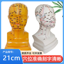 高清头部穴位模型针灸刻字头模带穴位全脸面部假头腧穴人体按摩图
