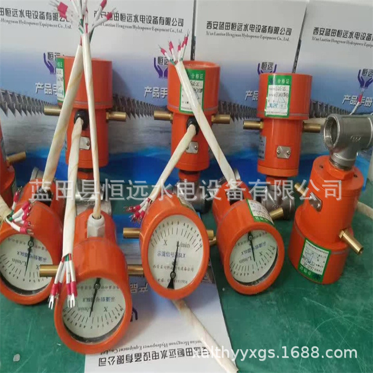 流量开关水流指示SLX-25ZS双向示流信号器