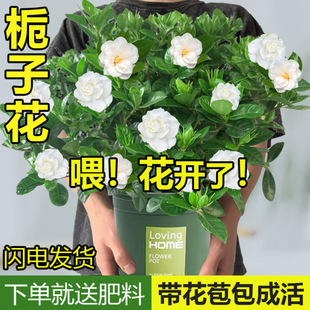 ����d�ӻ������Ԏ������l؛���B�҃ȾGֲ�����k������������՚�