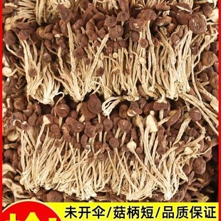 �����乽�r���㹽��؛�خa���¾����x���Ҝ����l��Ʒɢ�b�ɴ��l