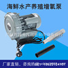 Oxygen pump Seafood,Aquatic products breed fish tank Yuchi Oxygenation pump high-power Marine products breed aerator