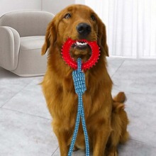 跨境爆款狗狗磨牙耐咬棉绳玩具宠物炫彩编织绳结小狗自嗨大型犬