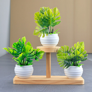 Simulation Green Plant Bonsai Office Desktop Tortoise Leaf Potted Living Room Decoration Fake Flower Simulation Plant Home Decoration