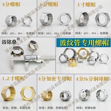 304���P䓲��y����ĸ4��6��1�猣���ݽz�~��ĸ��ˮ���Mˮܛ����ñ