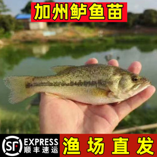 �����|�~�絭ˮ�Bֳ���|3̖����·����Ҏ���|�~����~�R�~�����l