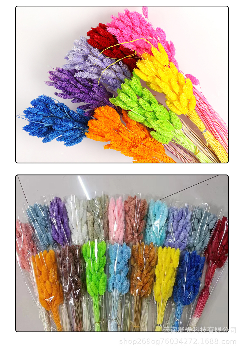 O1CN01ypA02N1E0riwFfZrM_!!2216032470290-0-cib.jpg?__r__=1691042970906